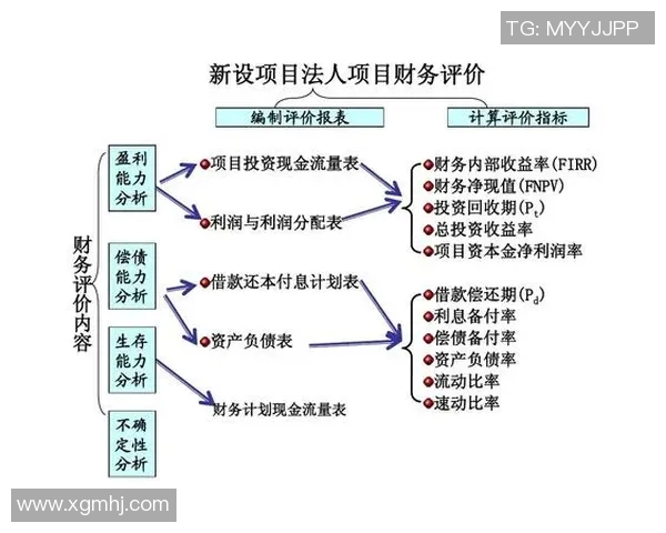 全球挑战赛中FPX技术表现分析与点评探讨