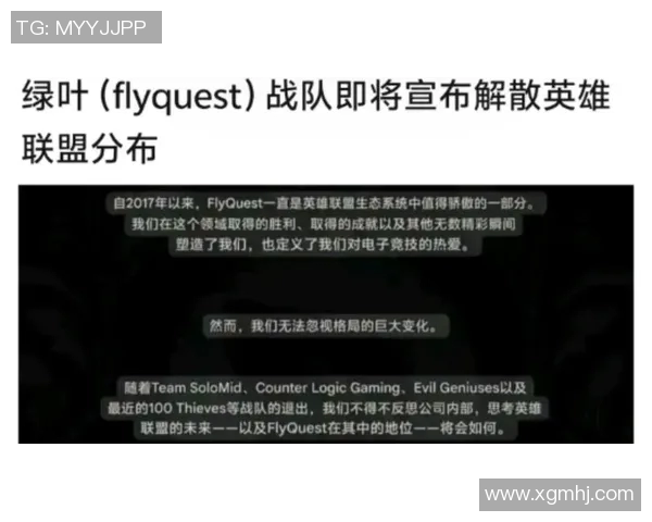 英雄联盟热议WE战队配合问题引发的争议与讨论分析